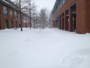 Path between 47 Wyllys and Usdan University Center