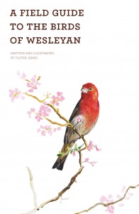 birds of wesleyan cover